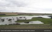 Cauce del Guadiana, inmediaciones del Molino de Griñón, en Daimiel. Fotografía de www.daimiel.es