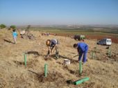 Más voluntarios realizando plantación