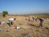 Voluntarias realizando la plantación