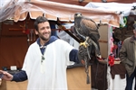 No faltó la cetrería en el mercado medieval celebrado el pasado fin de semana / Foto: P. Sánchez