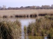 VISTA DE LAS TABLAS DE DAIMIEL