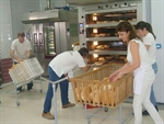 Panadería Alvaro Arias Pizarroso. 4.Proyecto subvencionado con FEADER. Europa Invierte en zonas rurales
