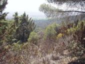 Sierra de Villarrubia de los Ojos