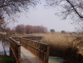 PARQUE NACIONAL LAS TABLAS DE DAIMIEL