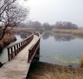 Las Tablas de Daimiel. Foto: EP