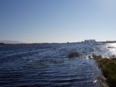 Imagen del Parque Nacional de Las Tablas de Daimiel