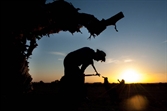 Foto ganadora, labores del campo