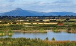 LAS TABLAS DE DAIMIEL OFRECEN SU MEJOR IMAGEN ESTA PRIMAVERA